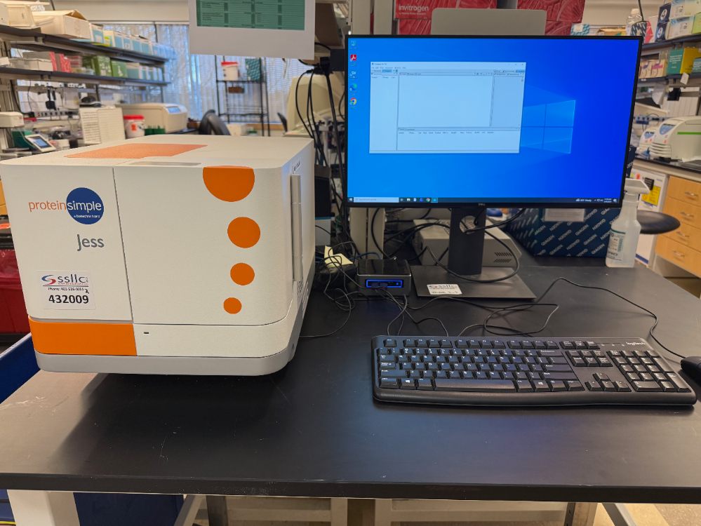 Image of ProteinSimple Jess Western Blot System